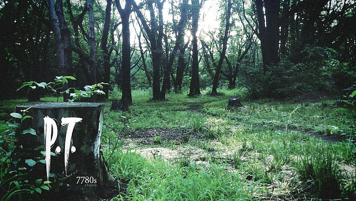 P.T.: Why This Dead Demo Still Haunts Our Dreams in 2026