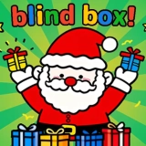 Christmas Blind Box‌