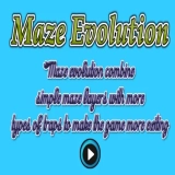 Maze Evolution