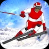 Slalom Hero